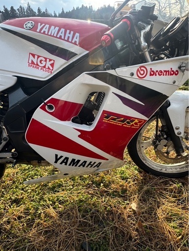 実働純正フルカウル！YAMAHA Tzr50r 4eu 極上 (まつもん) 花泉のヤマハ