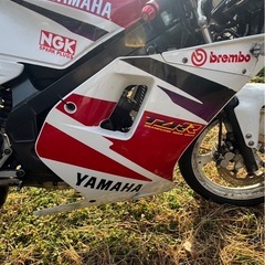 実働純正フルカウル！YAMAHA Tzr50r 4eu 極上 の画像