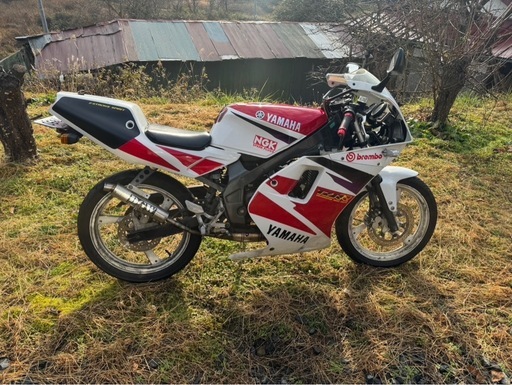 実働純正フルカウル！YAMAHA Tzr50r 4eu 極上 (まつもん) 花泉のヤマハ