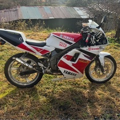 実働純正フルカウル！YAMAHA Tzr50r 4eu 極上 の画像