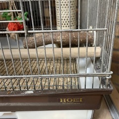hoei 鳥かごの画像