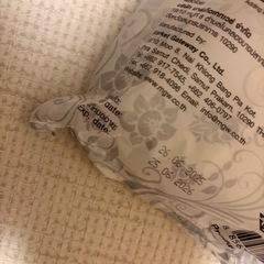 ドライマンゴー　いかがでしょうか？の画像