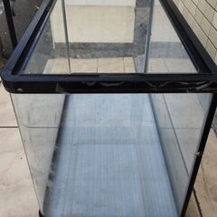 ガラス水槽　60cmの画像