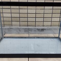 ガラス水槽　60cmの画像