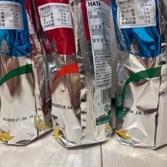 シャンメリー　　〜クリスマス〜の画像