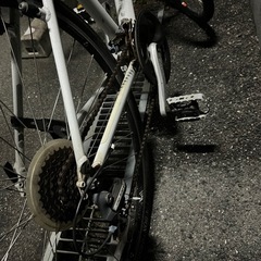 TREK FXシリーズ クロスバイク（FX7.1相当）ホワイト 700Cの画像