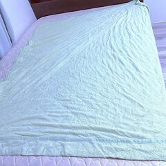【TOPVALU】冬 タオルケット シングルサイズ 140×190cm グリーン系 洗濯可 綿混キルトケットの画像