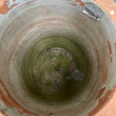 陶器　鉢の画像