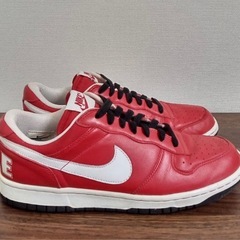 NIKE BIG NIKE LOW USED 27.0の画像