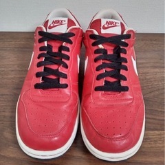 NIKE BIG NIKE LOW USED 27.0の画像