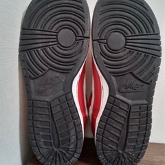 NIKE BIG NIKE LOW USED 27.0の画像