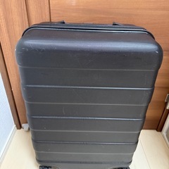 【譲渡】無印良品　キャリーケース　20L の画像