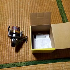 アクティブキャスト タマン gt 釣りの画像