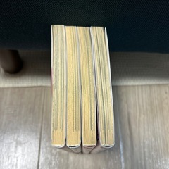 12/24午前中まで　可愛いだけじゃない式守さんの画像