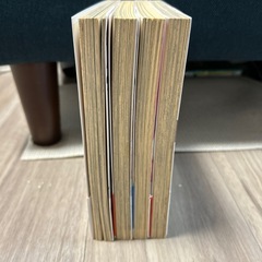 12/24午前中まで　可愛いだけじゃない式守さんの画像