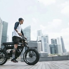 【美品】COAST CYCLES BUZZRAW X  ブラックの画像