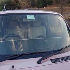 ダイハツミラココア675の画像