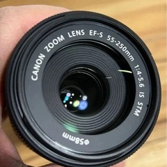 美品 Canon キャノン EF-S 55-250 4-5.6 IS STMの画像