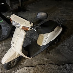 ヤマハミントの画像