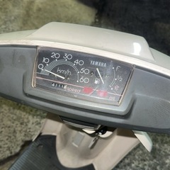 ヤマハミントの画像