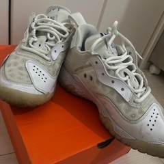 ジョーダン　デルタ2の画像