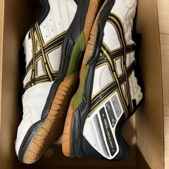 ハンドボールシューズの画像