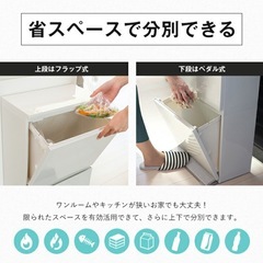  アスベル ASVEL 分別 ペダル 2段 ワイド 40L ECの画像