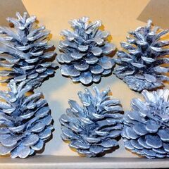 銀塗装 松ぼっくり6個(6センチ大)の画像