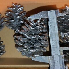 銀塗装 松ぼっくり8個(5センチ大)の画像