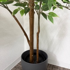 フェイクツリー植木鉢付きの画像