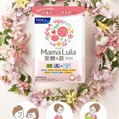 葉酸サプリ　ファンケル  4袋の画像