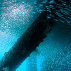 【1日レンタル】Insta360 Ace Pro 2｜高画質アクションカメラ｜防水・水中OKの画像