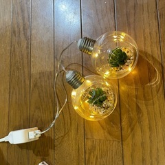 植物入りガラスペンダントライト 2個セットの画像