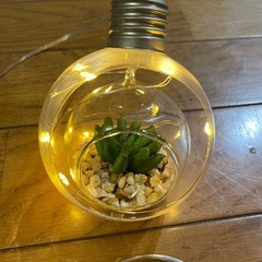 植物入りガラスペンダントライト 2個セットの画像