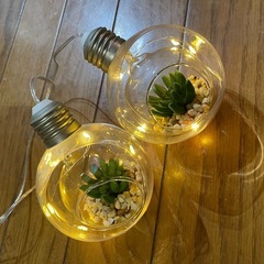 植物入りガラスペンダントライト 2個セットの画像