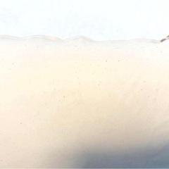 MOGU 抱き枕　の画像