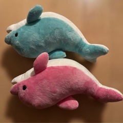 京都水族館 イルカ ぬいぐるみ セットの画像