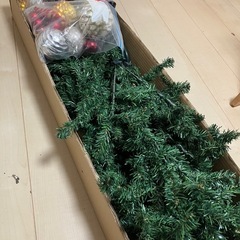 クリスマスツリーの画像