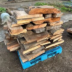 杉、欅等のカット材【新潟市西蒲区】の画像
