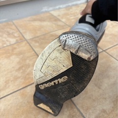 ガエルネ SG12   オレンジカラーの画像