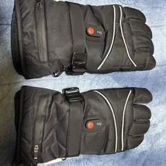 電熱グローブ　サイズLの画像