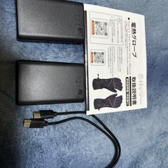 電熱グローブ　サイズLの画像