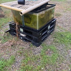 90cm水槽2本の画像