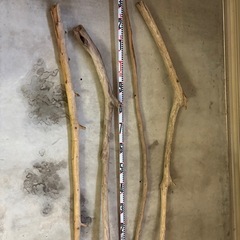 流木　大小たくさん‼️の画像