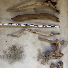 流木　大小たくさん‼️の画像