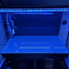 水槽　水槽台 フルセット　早い者勝ち！の画像