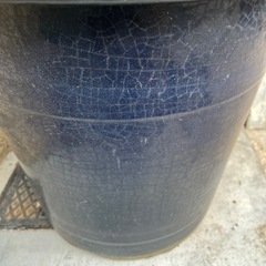 大きな植木鉢　造園家の方、お庭の大きなお家の方、園芸家の方いかがでしょうか　の画像