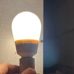 ライトセット　延長コードの画像