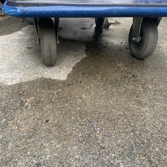 特大台車の画像