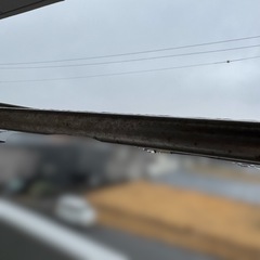 物干し竿 3点セットの画像